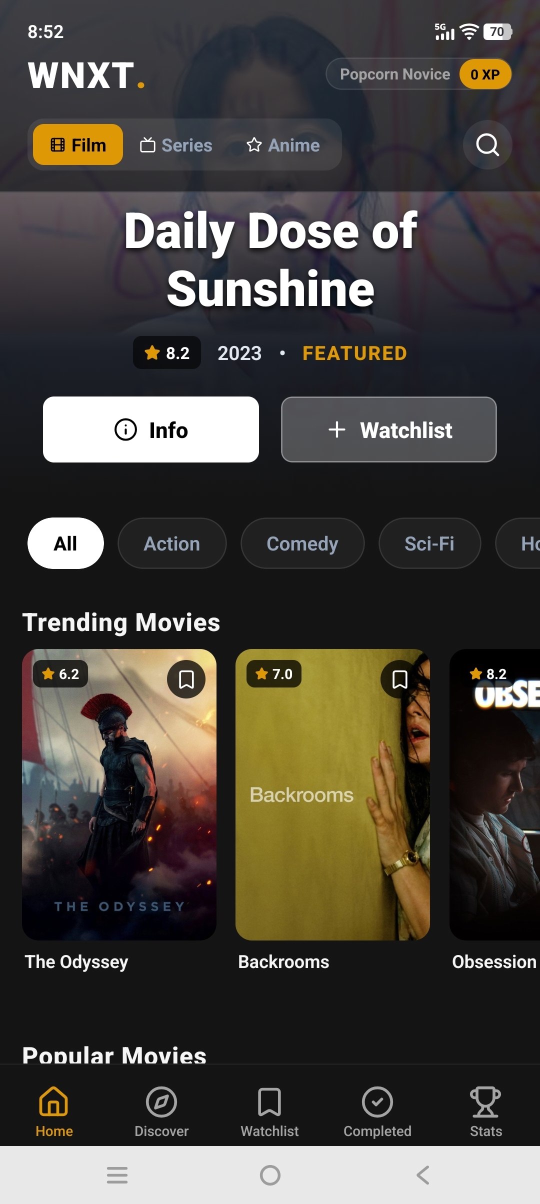 Movie Details Interface
